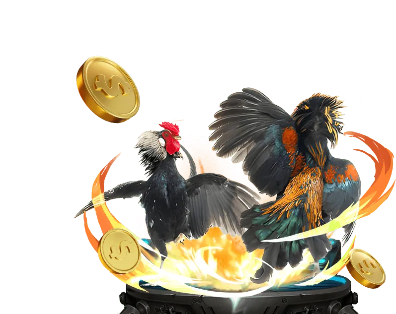 Trải nghiệm đa dạng trò chơi tại 678win